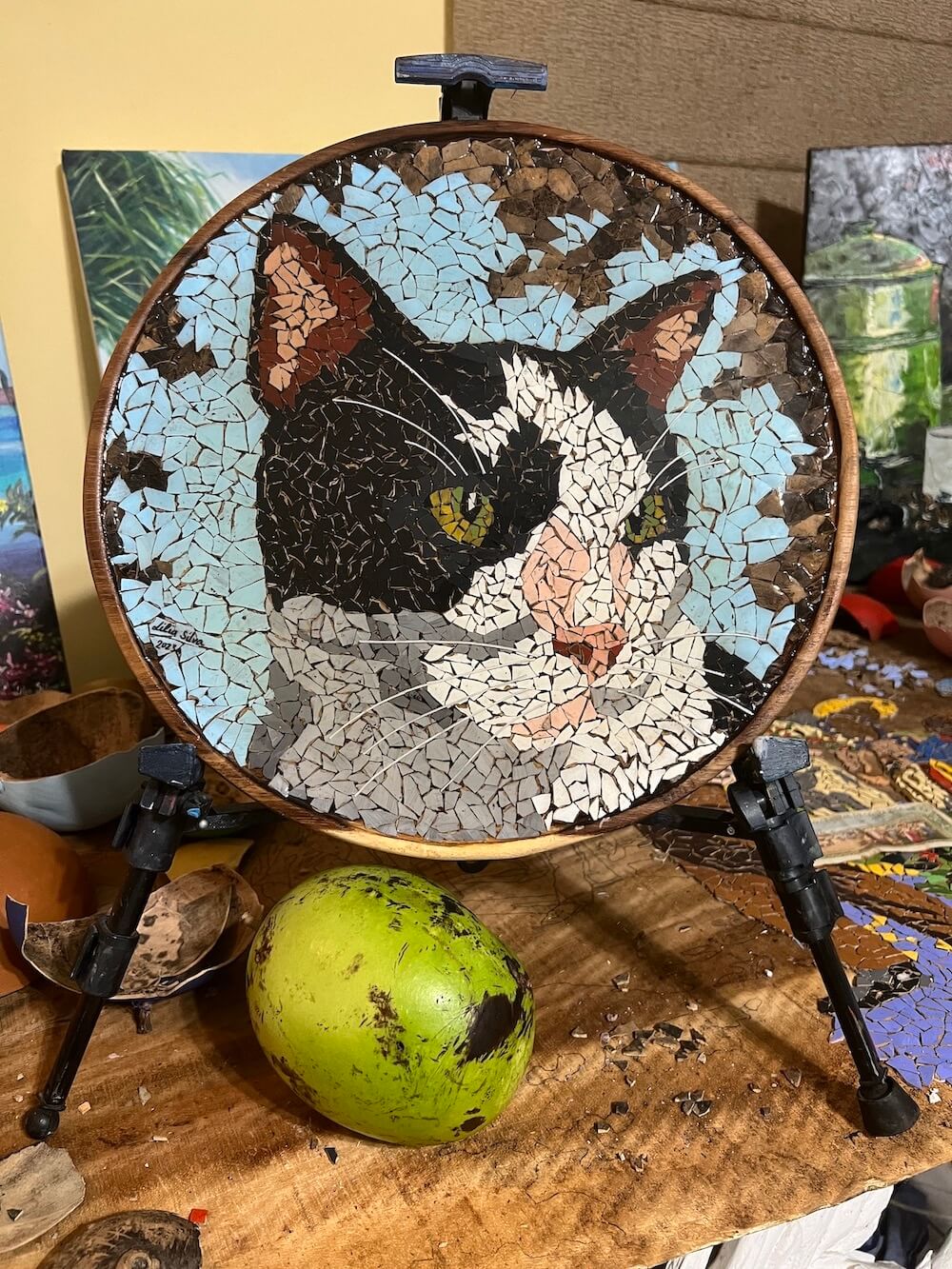 cat